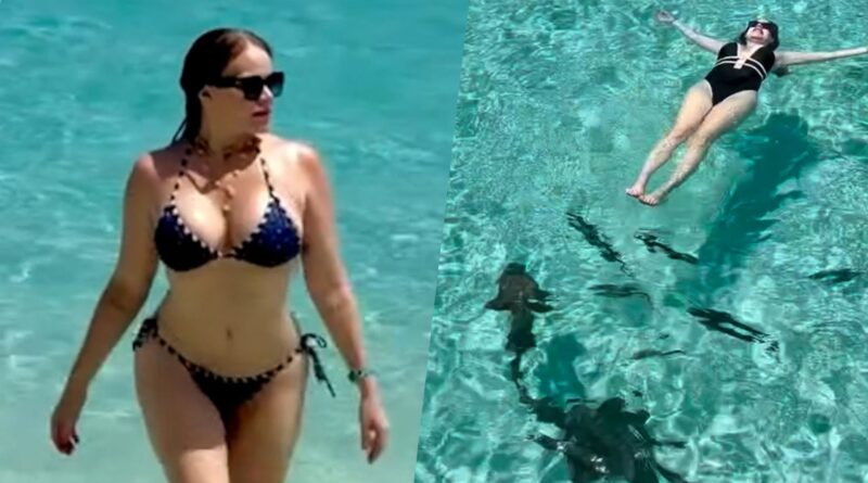 Ex-BBB Paulinha Leite nada com tubarões nas Bahamas