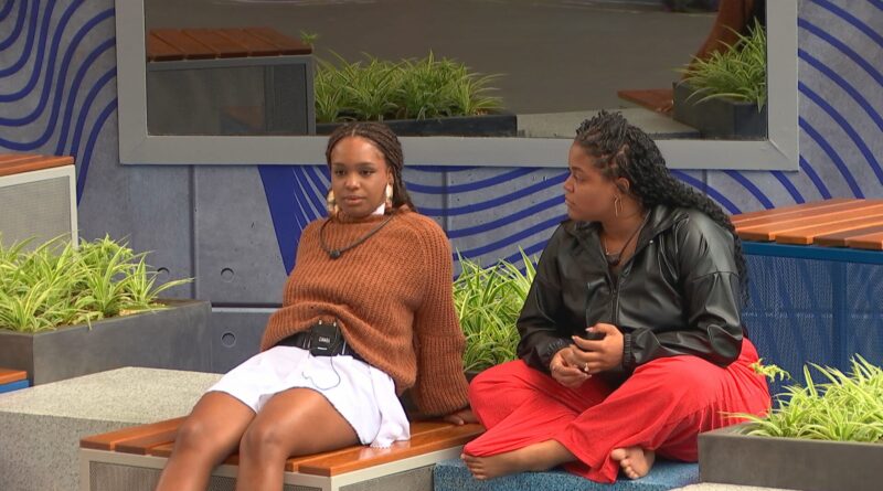 Cinara e Vick detonam joguinho sujo no Estrelas da Casa